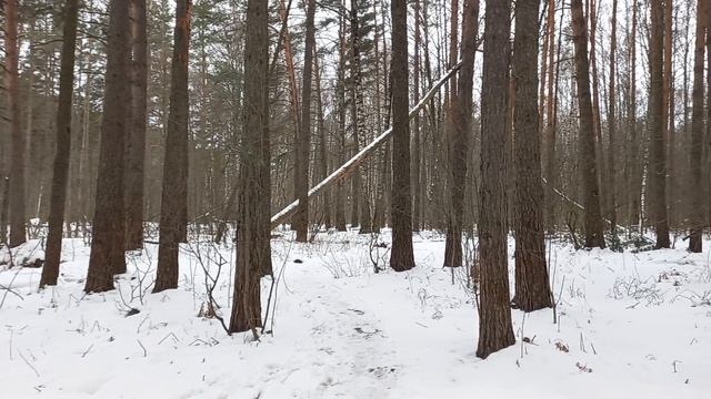 Наука правильного настроения