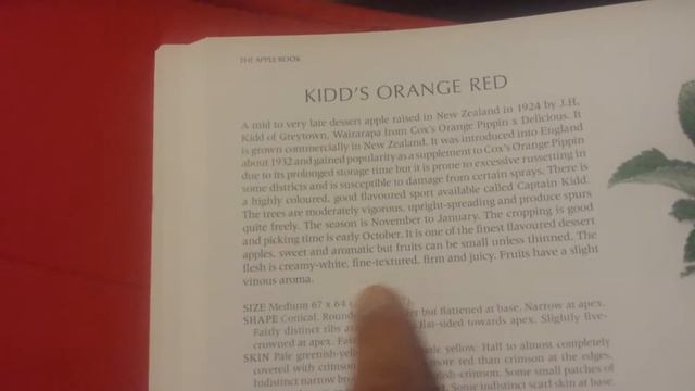 Kidd's Orange Red: An Aromatic Vinous Apple смотреть онлайн