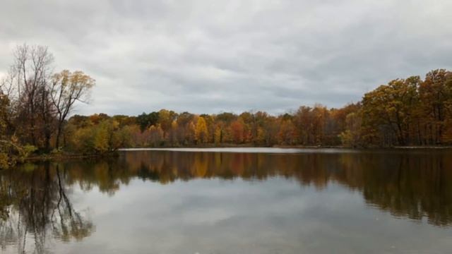 iPhone X Camera Overview Portrait Lighting, Video Improvements, Front Facing Portraits and More смотреть онлайн