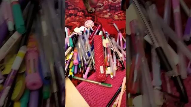 BACK TO SCHOOL🎒📚РАСХЛАМЛЕНИЕ КАНЦЕЛЯРИИ ПЕРЕД ШКОЛОЙ!!! УБОРКА НА СТОЛЕ! смотреть онлайн