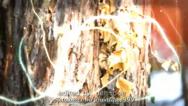 I'm A New Soul смотреть онлайн