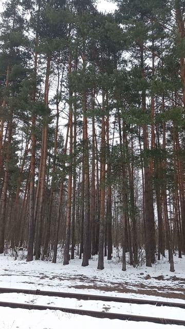 Погода с утра