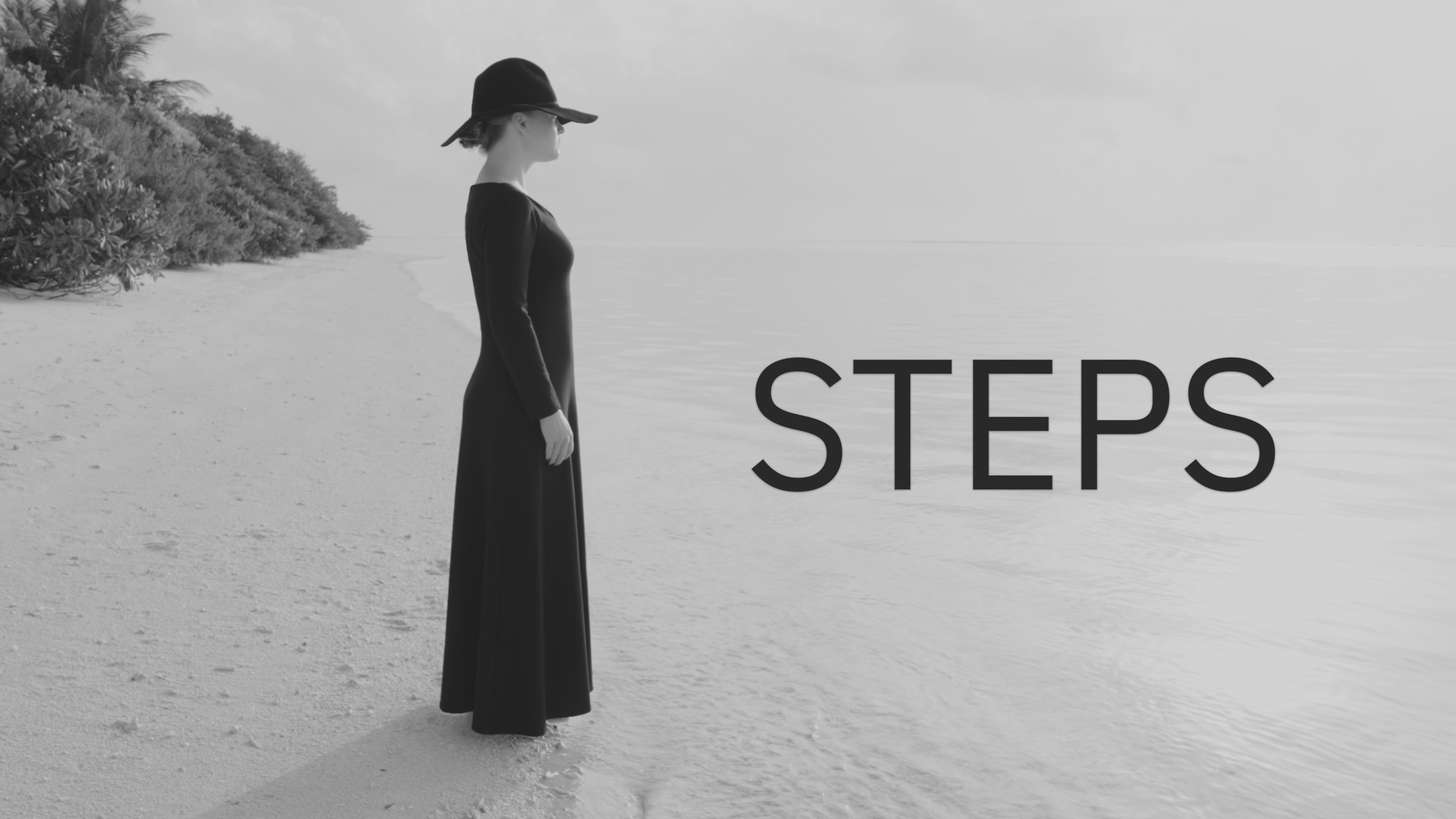 Steps