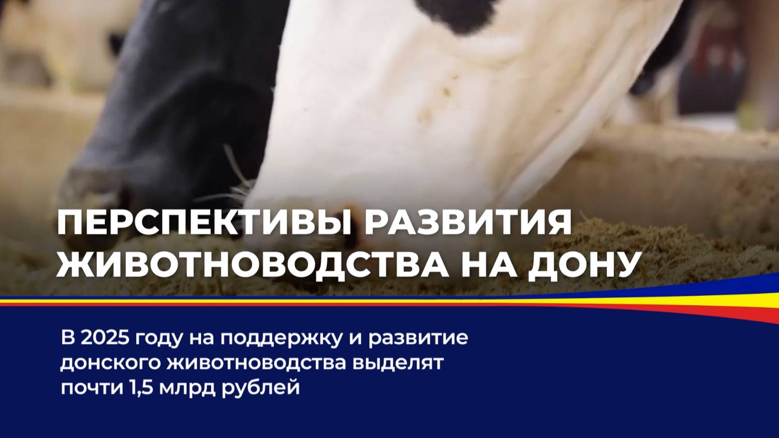Перспективы развития животноводства на Дону смотреть онлайн