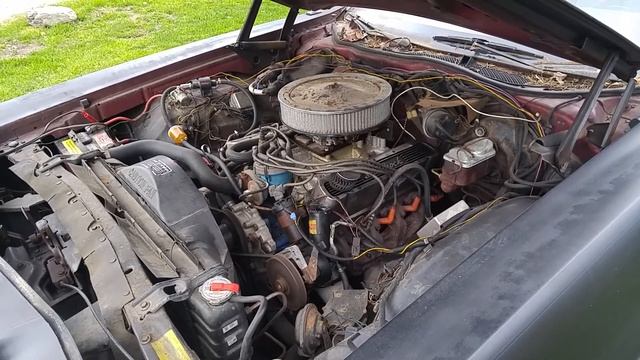 79 Cougar 351 idle смотреть онлайн
