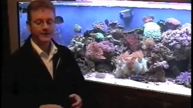 Majestic Aquariums REEF Aquarium Show with Paul Talbot, Episode 5 смотреть онлайн