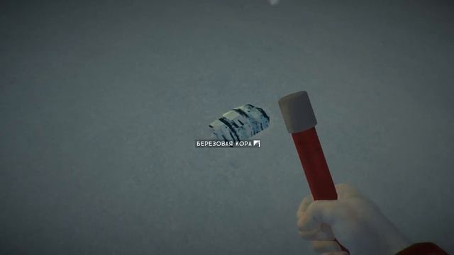 Тупой медведь 2 смотреть онлайн