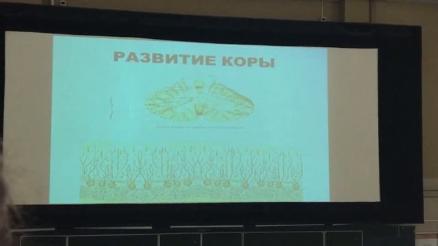 Нс 1 смотреть онлайн