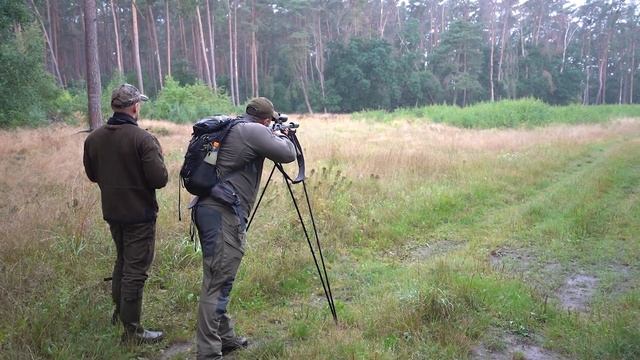 Unzensiert: Kevin Wolter Jagt auf einen abnormen Rehbock! смотреть онлайн