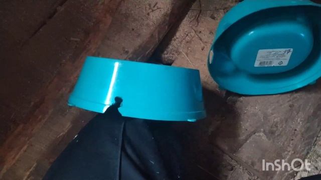 Делаем миски кроликам смотреть онлайн