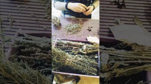 Програмные свечи. Свечная магия. Каие травы и масла идут на свечу "Изобилие"