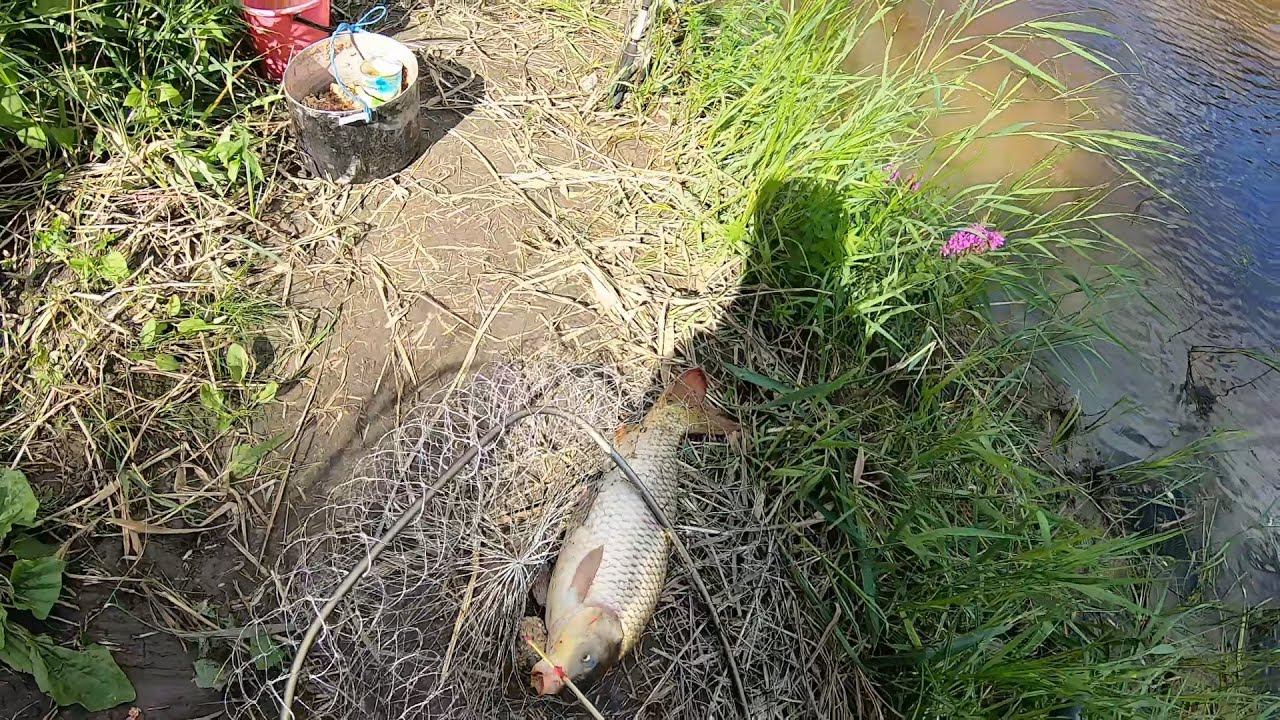 РЫБАЛКА НА САЗАНА В НЕВЕРОЯТНО КРАСИВОМ МЕСТЕ. ВЗЯЛ ТО,ЗА ЧЕМ ПРИЕХАЛ. 24 ЧАСА НАЕДИНЕ С ПРИРОДОЙ.