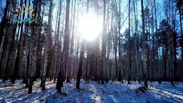 Ҳоҷи мирзо ҳазрати мусо бо камбағале ма бой шудан мехоҳум смотреть онлайн
