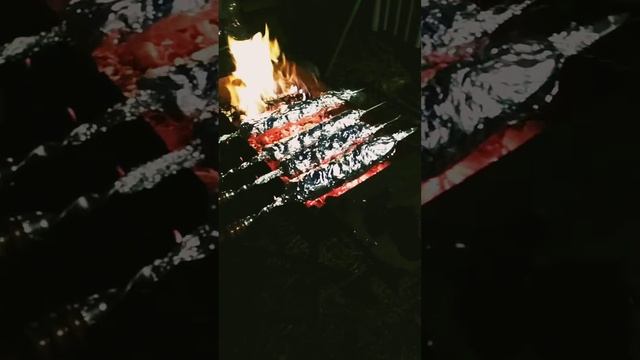 Бомбическое приготовление Ухи и Шашлыка. Белисимо! смотреть онлайн