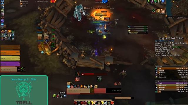 Prot Warrior Freehold +22 Season 2 (Sanguine/Necrotic/Fortified/Reaping) смотреть онлайн