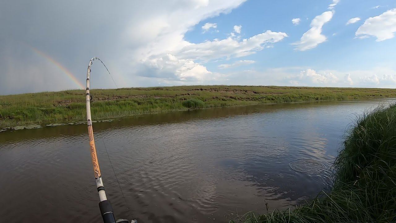 ЭТИ КАБАНЫ ГНУЛИ СПИННИНГИ ДО ВОДЫ, Я ДУМАЛ ОНИ ЛОПНУТ!!! ЛУЧШАЯ РЫБАЛКА НА САЗАНА В ЭТОМ СЕЗОНЕ!!!