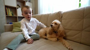 Пятый канал подводит итоги акции «День добрых дел» для маленького Игоря