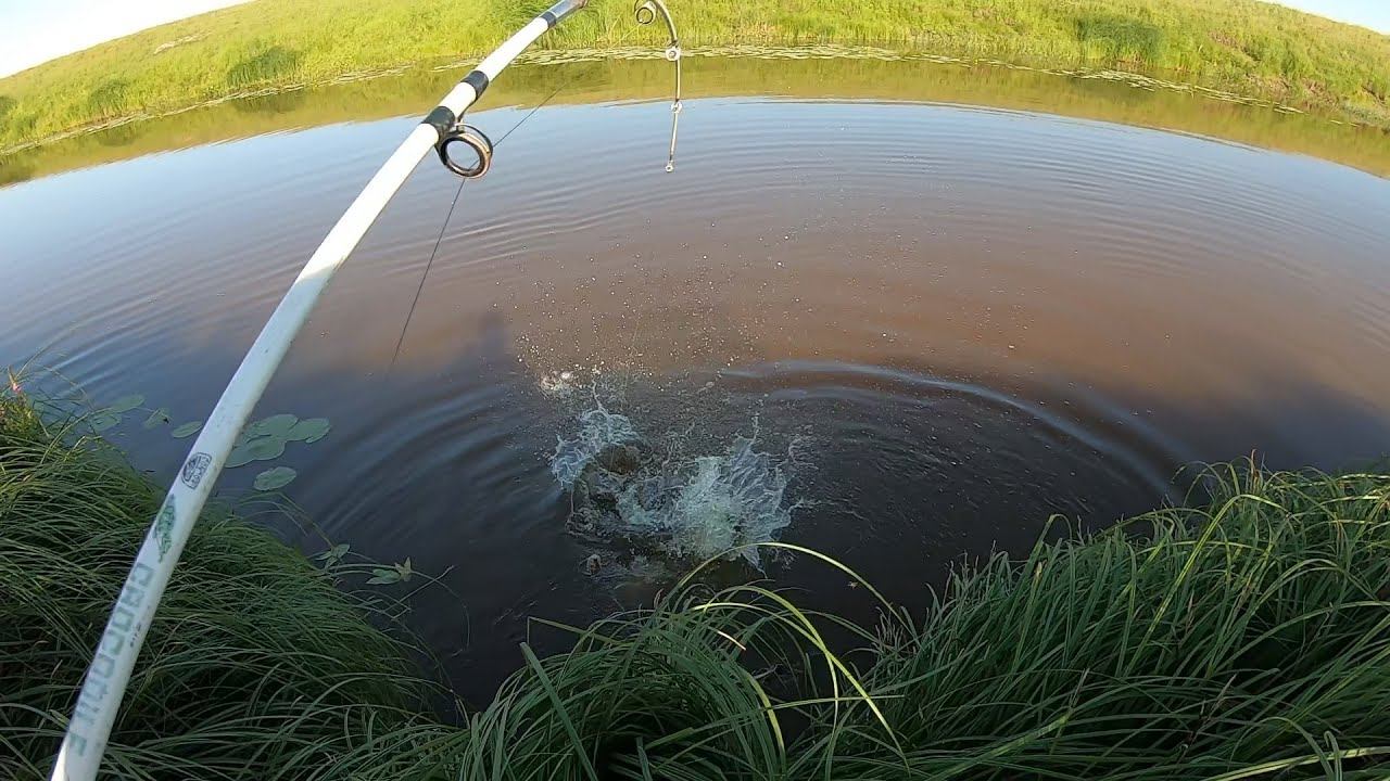 ПОПАЛ НА ВЕЧЕРНИЙ КЛЁВ САЗАНА.  С ТАКИМИ КАБАНАМИ ИНТЕРЕСНО Побороться!!!