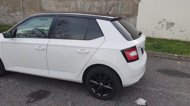 Skoda Fabia Twin Color -2018 смотреть онлайн