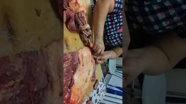 Казы айналдыру смотреть онлайн