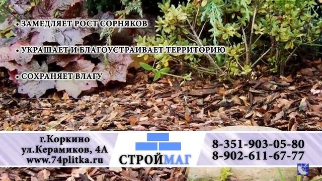 КОРКИНО. ГОРОДСКИЕ НОВОСТИ 17.04.2024 смотреть онлайн