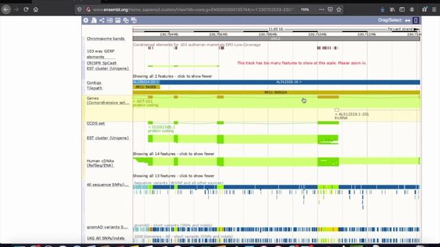 Introduction to the Ensembl Genome Browser - Webinar Series (2020): Webinar 3 - Variation смотреть онлайн