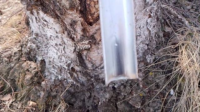 дневник  кэцена