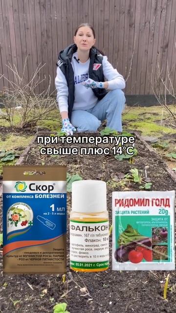 Уход за клубникой весной смотреть онлайн