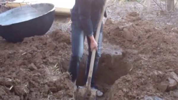 Приготовление суманака. Таджикистан