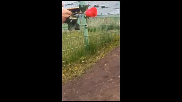 Интервью на скамейке смотреть онлайн