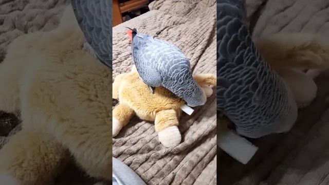 Нашел занятие, разобрал игрушку смотреть онлайн