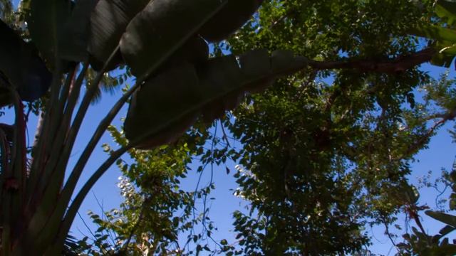 Bungalow Gardens at The Beverly Hills Hotel смотреть онлайн