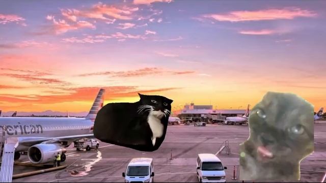 Бискас-Меня три:3 смотреть онлайн