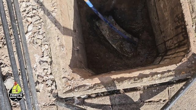 Blocked Drain. Drain Full Of Roots. #blockeddrain #cloggeddrain #drains #drainproblems