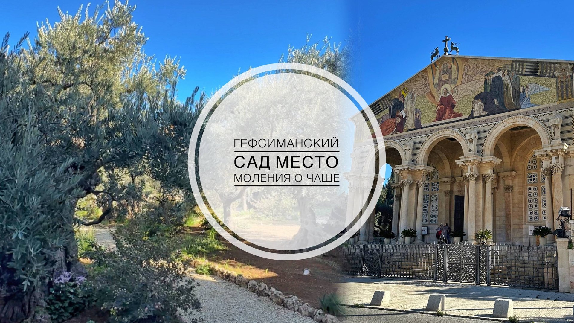 Гефсиманский сад. Место моления о Чаше. Церковь всех наций. смотреть онлайн