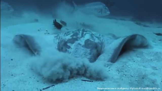 Kingdom of the Ocean видеомонтаж смотреть онлайн