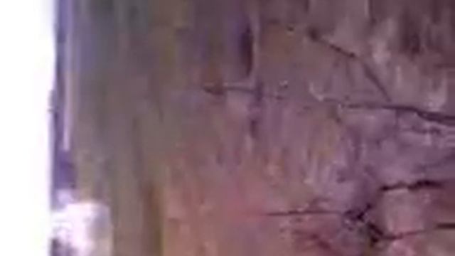 20гнитрат аммония+магний смотреть онлайн