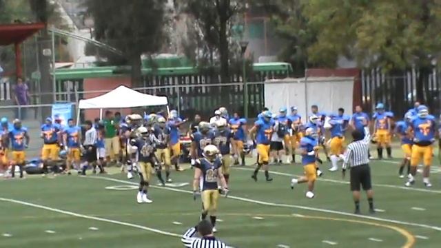 Horda Dorada vs Tigres Oro (2) OMFA PRO 2013 смотреть онлайн