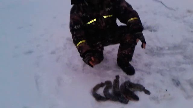 Операция НоВоГоДнИй Налим № 4/ Результат приятно удивил!))) смотреть онлайн