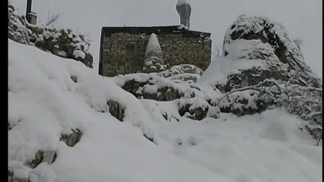 камиль тархо смотреть онлайн