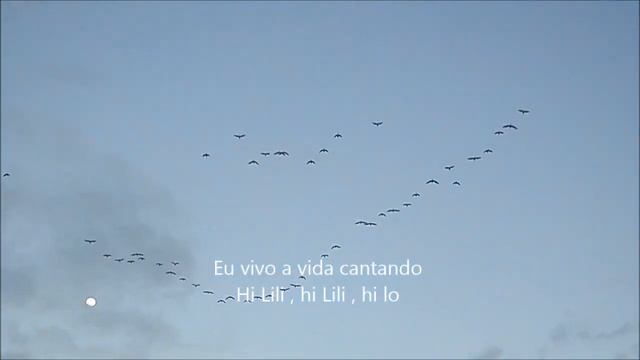 Hi Lili , Hi Lo - Gal Costa смотреть онлайн