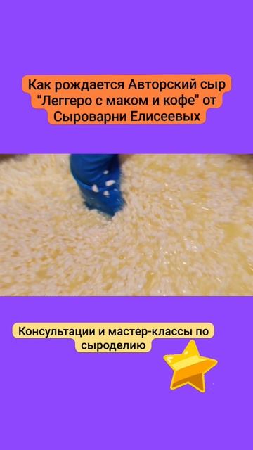 Как рождается Авторский сыр "Леггеро с маком и кофе" от Сыроварни Елисеевых смотреть онлайн