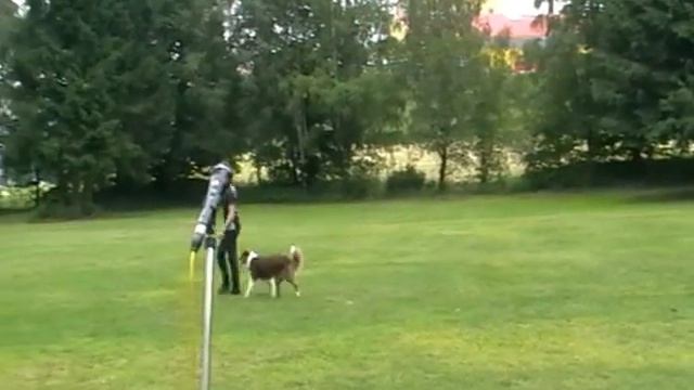 Unterordnung Vierkampf 1 Lisa & Cooper смотреть онлайн