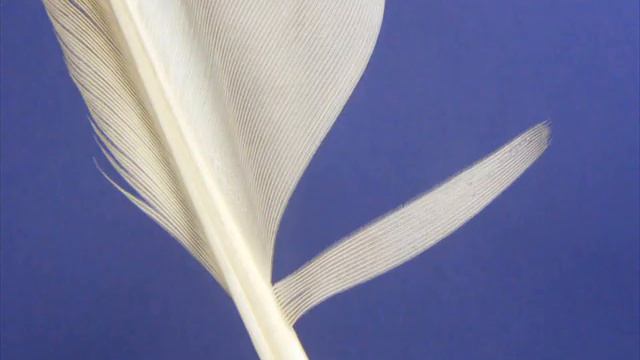 Sedge dry fly (Chruścik, sucha mucha) смотреть онлайн