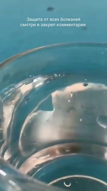 Польза от ТЕПЛОЙ ВОДЫ! #вода #жизнь #здоровье #теплаявода #еда #почки смотреть онлайн