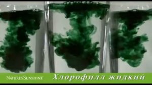 Хлорофилл Жидкий