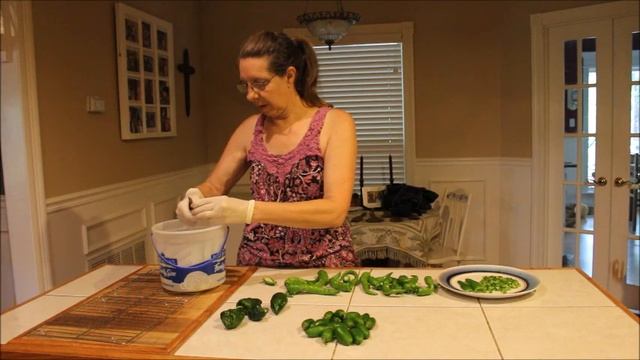 Frugal Quick Tip   Gloves