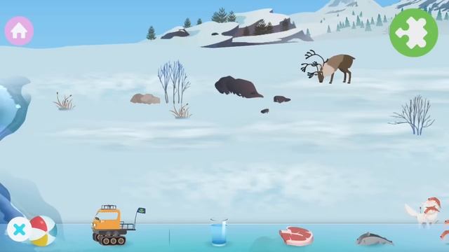 Learn About Animals In The Most Extreme Parts Of The World With MarcoPolo Arctic