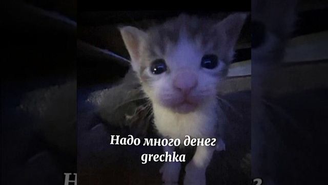 «Надо много денег» GRECHKA смотреть онлайн