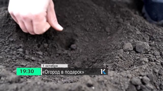 Огород в подарок: новый выпуск 1 октября смотреть онлайн
